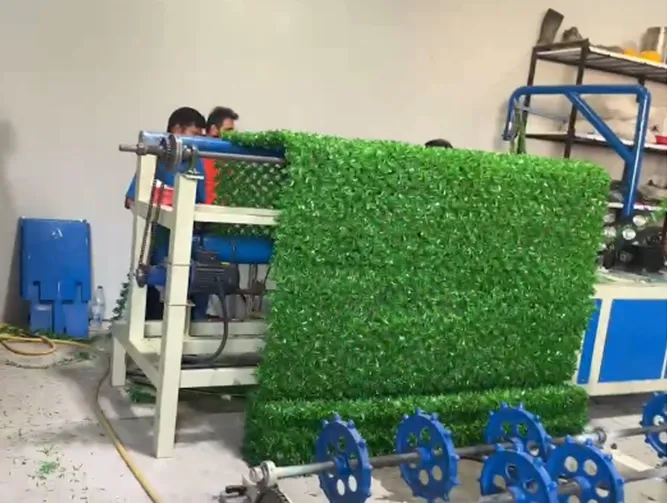 Install the Grass wire fence machine in Egypt