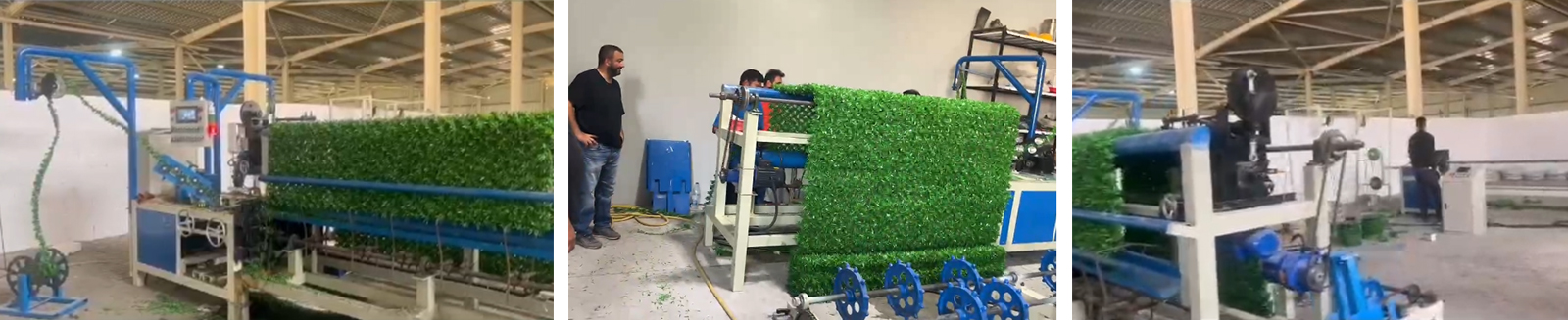 Install the Grass wire fence machine in Egypt